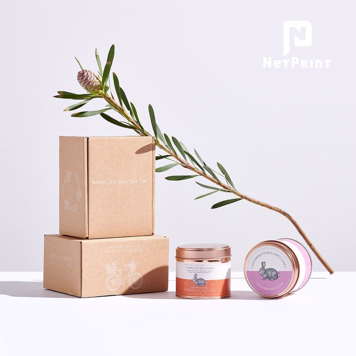 NetPrint 43 Hop carton boi 07