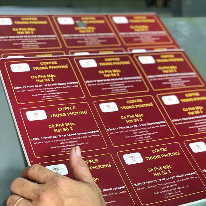 z5954103561372_dffe90071a527fb1daf9aba95ad47c0c